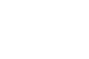 anbos den bosch specialist