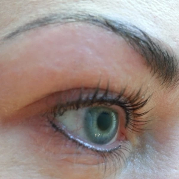 PMU Permanente makeup voor wenkbrauwen en eyeliner blauwe ogen Den Bosch