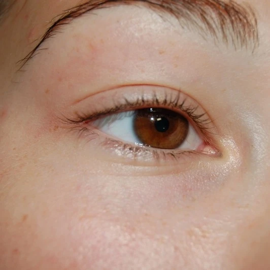 PMU Permanente makeup Den Bosch specialist voor wenkbrauwen en bruine ogen Empel