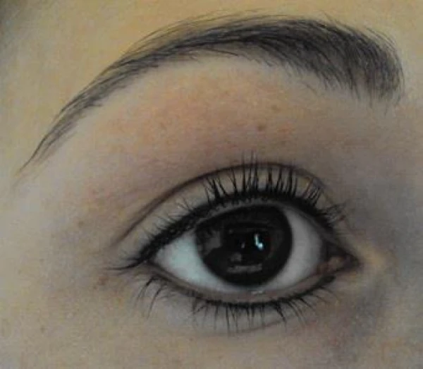 Den Bosch Empel PMU Permanente makeup specialist eyeliner bruine ogen 